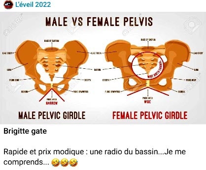 Bassin.jpg